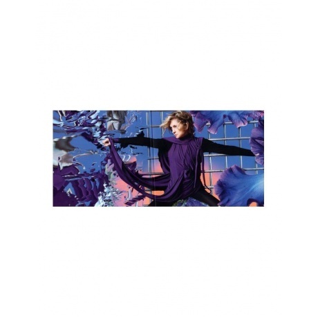 Goldfrapp - The Love Invention (4050538883756) виниловая пластинка - фото 2