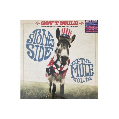 0810020507072, Виниловая пластинка Gov't Mule, Stoned Side Of The Mule (coloured) - фото 1