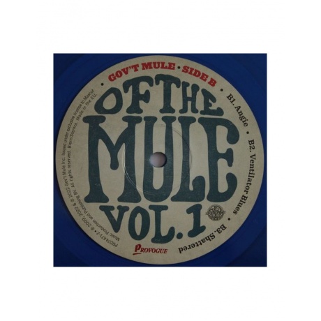 0810020507072, Виниловая пластинка Gov't Mule, Stoned Side Of The Mule (coloured) - фото 6