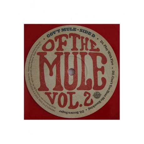 0810020507072, Виниловая пластинка Gov't Mule, Stoned Side Of The Mule (coloured) - фото 9