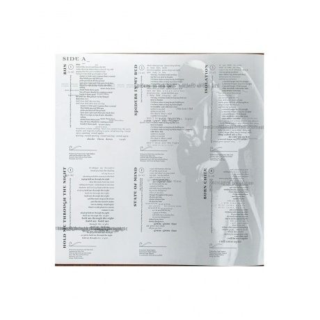 Beth Hart - Immortal (8719262013391) виниловая пластинка - фото 4