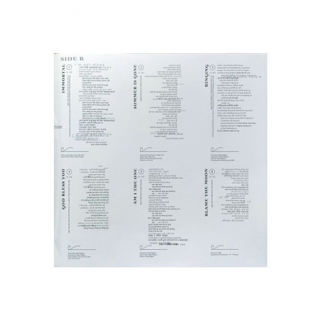 Beth Hart - Immortal (8719262013391) виниловая пластинка - фото 5