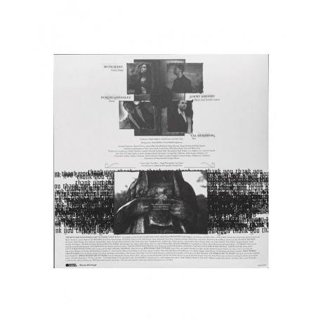 Beth Hart - Immortal (8719262013391) виниловая пластинка - фото 6