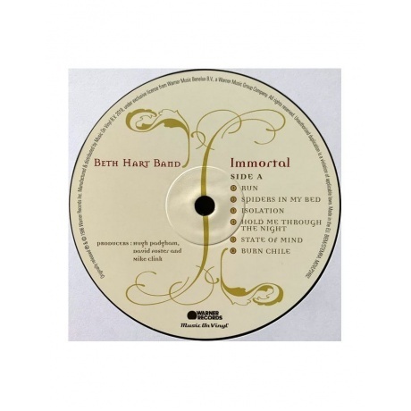 Beth Hart - Immortal (8719262013391) виниловая пластинка - фото 7