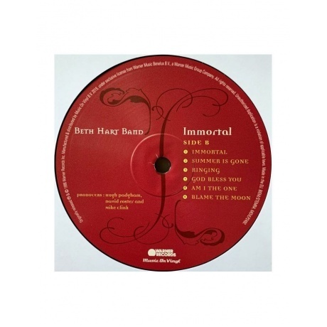 Beth Hart - Immortal (8719262013391) виниловая пластинка - фото 8