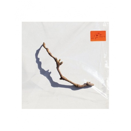 

PJ Harvey - I Inside The Old Year Dying (0720841303213) виниловая пластинка