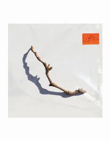 PJ Harvey - I Inside The Old Year Dying (0720841303213) винилова...