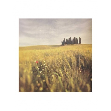 0774213501172, McKennitt, Loreena, Lost Souls виниловая пластинка - фото 12