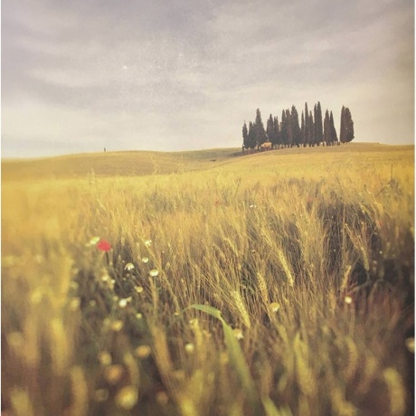 Loreena McKennitt - Lost Souls (0774213501172) виниловая пластинка - фото 5