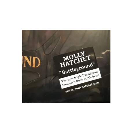 0886922878817, Виниловая пластинка Molly Hatchet, Battleground - фото 17