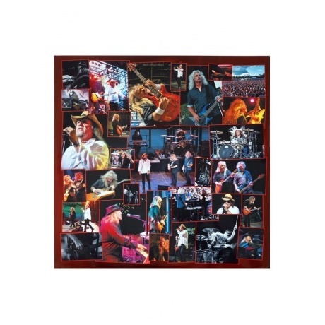 Molly Hatchet - Battleground (0886922878817) виниловая пластинка - фото 14