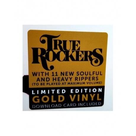 0819873016595, Виниловая пластинка Monster Truck, True Rockers (coloured) - фото 3