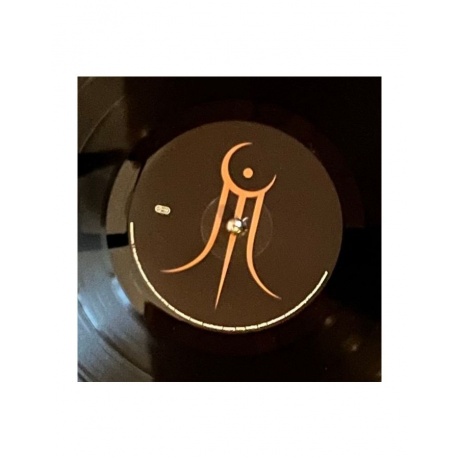0810135713856, Виниловая пластинка Moonspell, The Antidote - фото 6