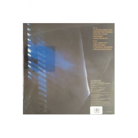 Alison Moyet - Alf (4050538323283) виниловая пластинка - фото 2