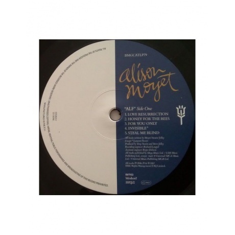 Alison Moyet - Alf (4050538323283) виниловая пластинка - фото 3