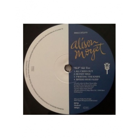 Alison Moyet - Alf (4050538323283) виниловая пластинка - фото 4