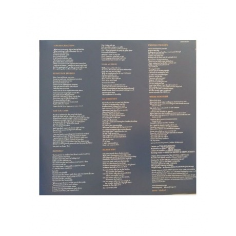 Alison Moyet - Alf (4050538323283) виниловая пластинка - фото 6