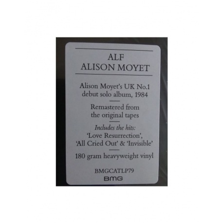 Alison Moyet - Alf (4050538323283) виниловая пластинка - фото 7