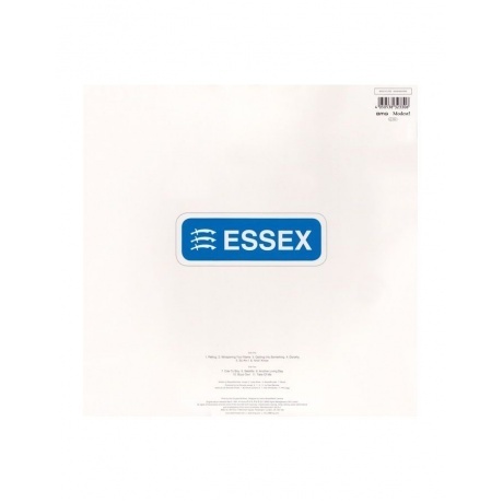 Alison Moyet - Essex (4050538323306) виниловая пластинка - фото 2