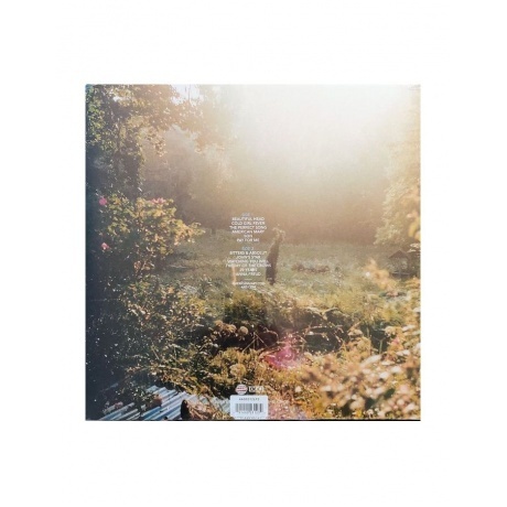 The National - The National (0191400031210) виниловая пластинка - фото 2