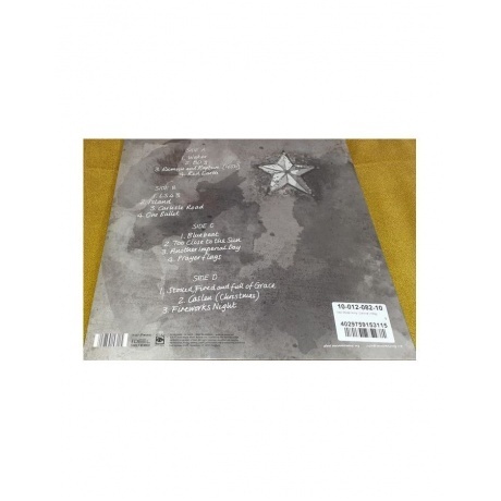 New Model Army - Carnival (4029759153115) виниловая пластинка - фото 3