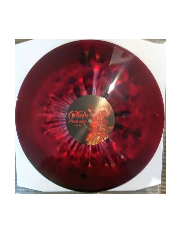 0781676736416, Виниловая пластинка Obituary, Ten Thousand Ways To Die - фото 4