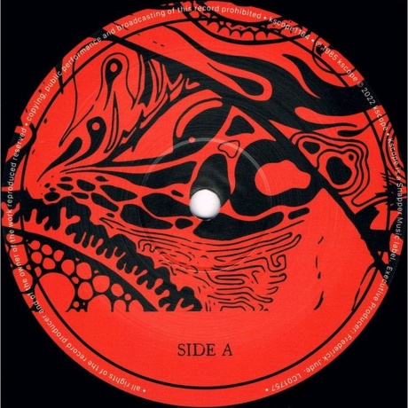 Ozric Tentacles - Erpsongs (0802644818412) виниловая пластинка - фото 3