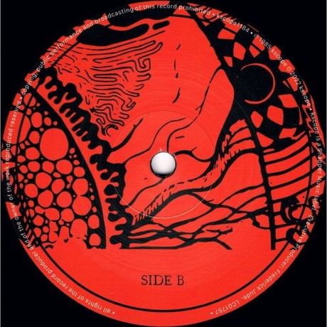 Ozric Tentacles - Erpsongs (0802644818412) виниловая пластинка - фото 4