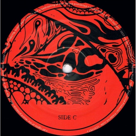 Ozric Tentacles - Erpsongs (0802644818412) виниловая пластинка - фото 5