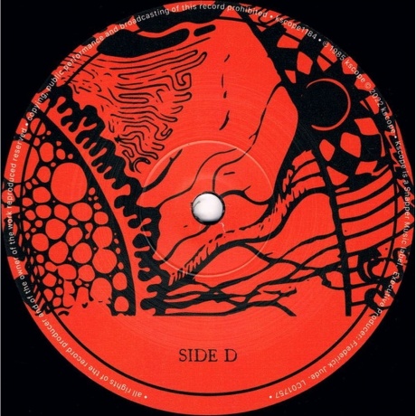 Ozric Tentacles - Erpsongs (0802644818412) виниловая пластинка - фото 6