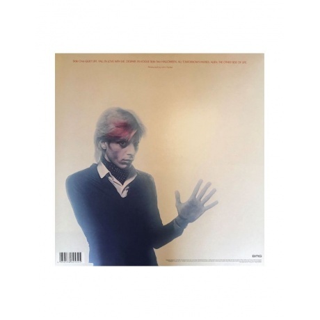 Japan - Quiet Life (Half Speed) (4050538625325) виниловая пластинка - фото 3