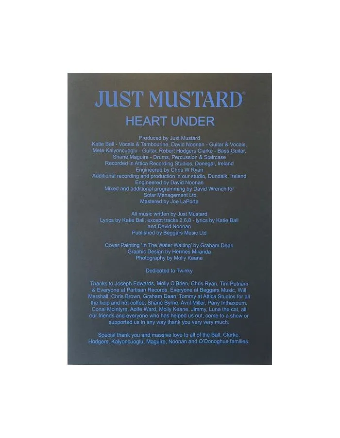 0720841301912, Виниловая пластинка Just Mustard, Heart Under - фото 3