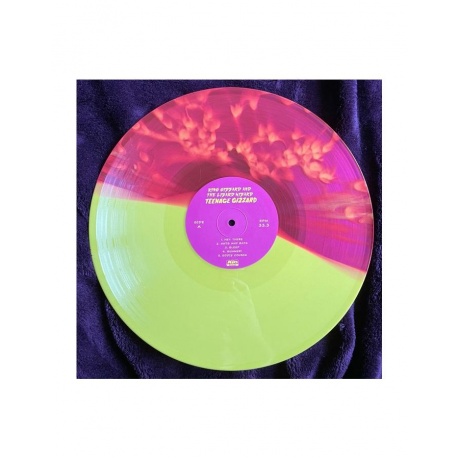0880882451516, Виниловая пластинка King Gizzard &amp; The Lizard Wizard, Teenage Gizzard (coloured) - фото 4