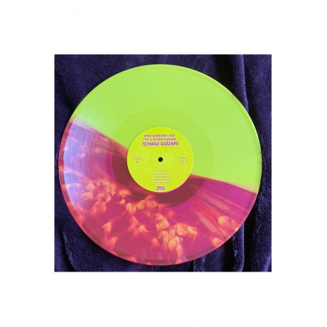 0880882451516, Виниловая пластинка King Gizzard &amp; The Lizard Wizard, Teenage Gizzard (coloured) - фото 5
