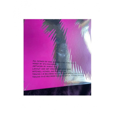 0880882451516, Виниловая пластинка King Gizzard &amp; The Lizard Wizard, Teenage Gizzard (coloured) - фото 7
