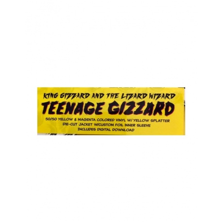 0880882451516, Виниловая пластинка King Gizzard &amp; The Lizard Wizard, Teenage Gizzard (coloured) - фото 9