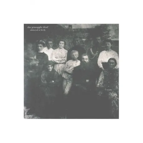 The Pineapple Thief - Abducted At Birth (0802644897813) винилова...