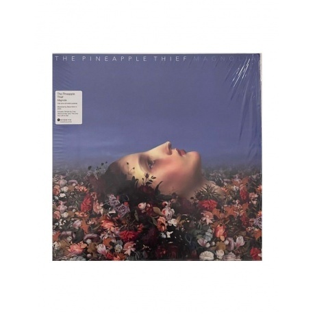 The Pineapple Thief - Magnolia (0802644813011) виниловая пластинка - фото 1