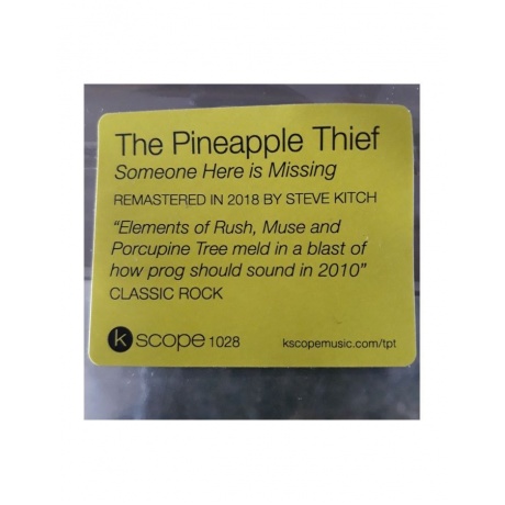 0802644802817, Виниловая пластинка Pineapple Thief, The, Someone Here Is Missing - фото 3