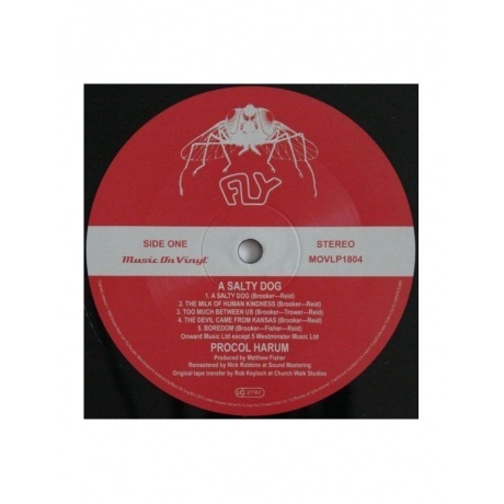 8719262002913, Procol Harum, A Salty Dog виниловая пластинка - фото 4