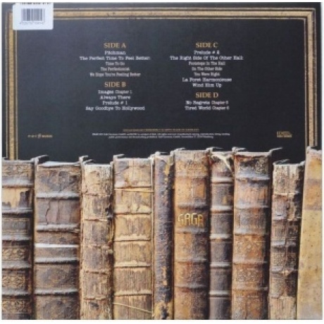 Saga - Symmetry (2Lp) (4029759154143) виниловая пластинка - фото 4