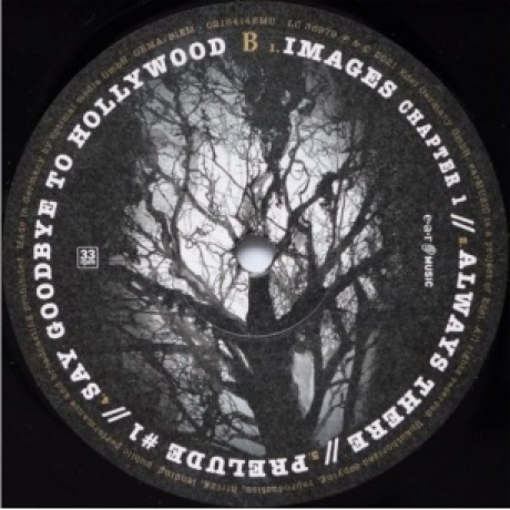 Saga - Symmetry (2Lp) (4029759154143) виниловая пластинка - фото 6