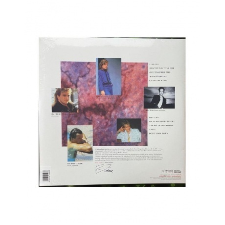 Saga - Wildest Dreams (4029759159636) виниловая пластинка - фото 2