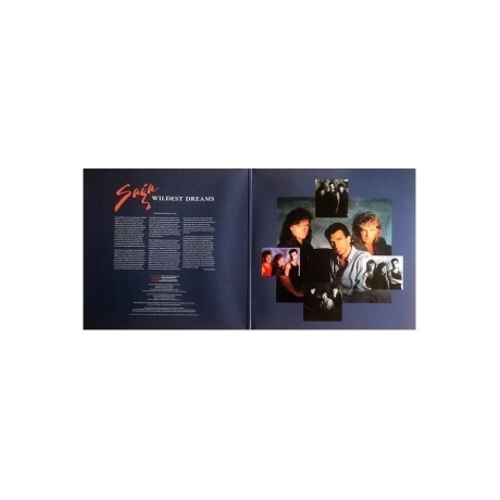 Saga - Wildest Dreams (4029759159636) виниловая пластинка - фото 4