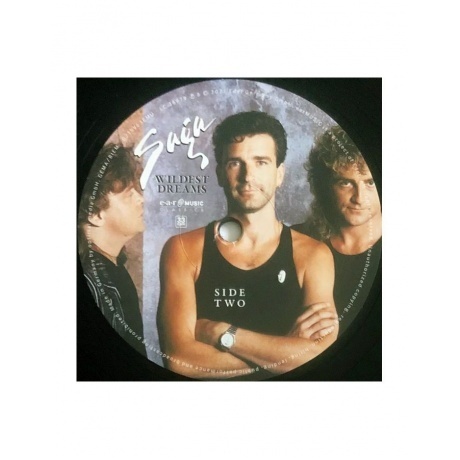 Saga - Wildest Dreams (4029759159636) виниловая пластинка - фото 8