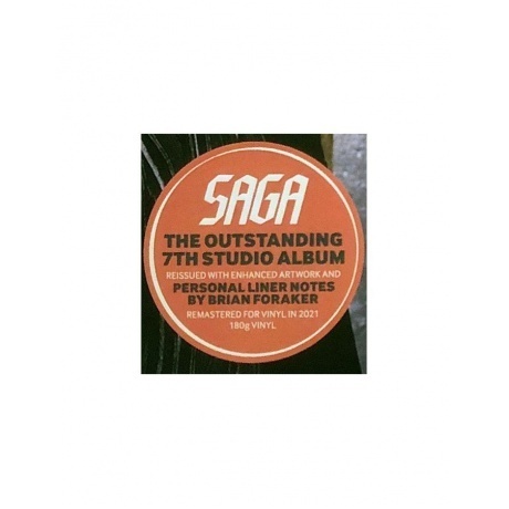 Saga - Wildest Dreams (4029759159636) виниловая пластинка - фото 10