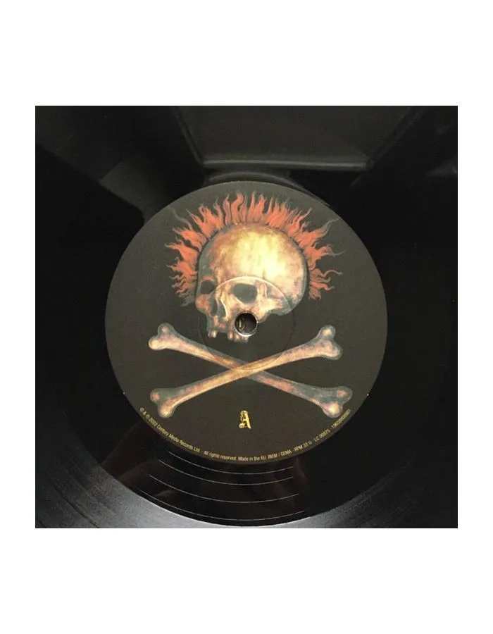 0196588089817, Виниловая пластинка Mayhem, Daemonic Rites: Live - фото 5