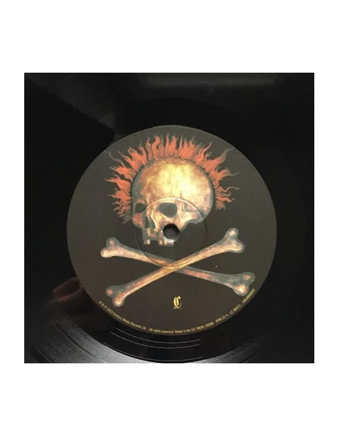 0196588089817, Виниловая пластинка Mayhem, Daemonic Rites: Live - фото 7