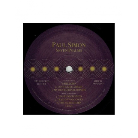0196587849016, Виниловая пластинка Simon, Paul, Seven Psalms - фото 3