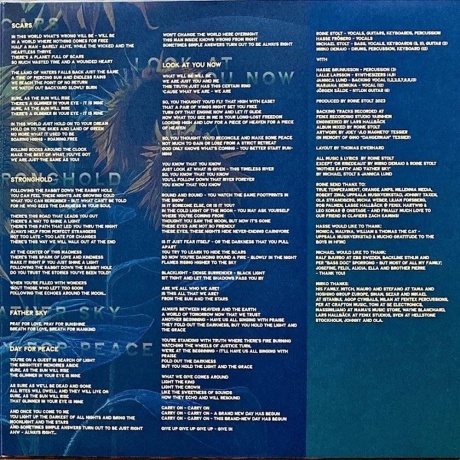 The Flower Kings - Look At You Now (0196588229718) виниловая пластинка - фото 2